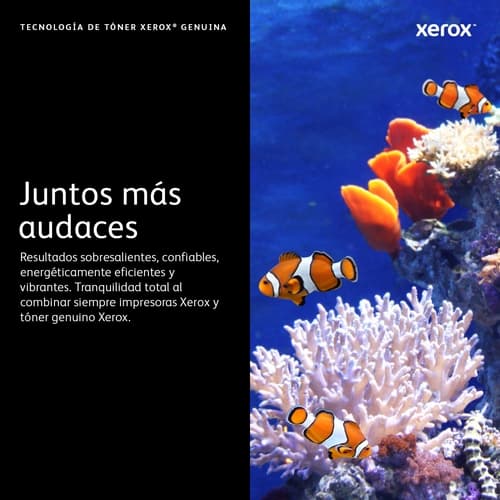 Xerox Toner Negro VersaLink C7020/C7025/C7030 alta capacidad (16.100 páginas)