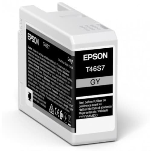Epson Cartucho T46S7 Gris C13T46S700 25ml SC-P700