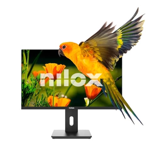 NILOX NXM24REG02 Monitor 24 VA VGA HDMI DP AA