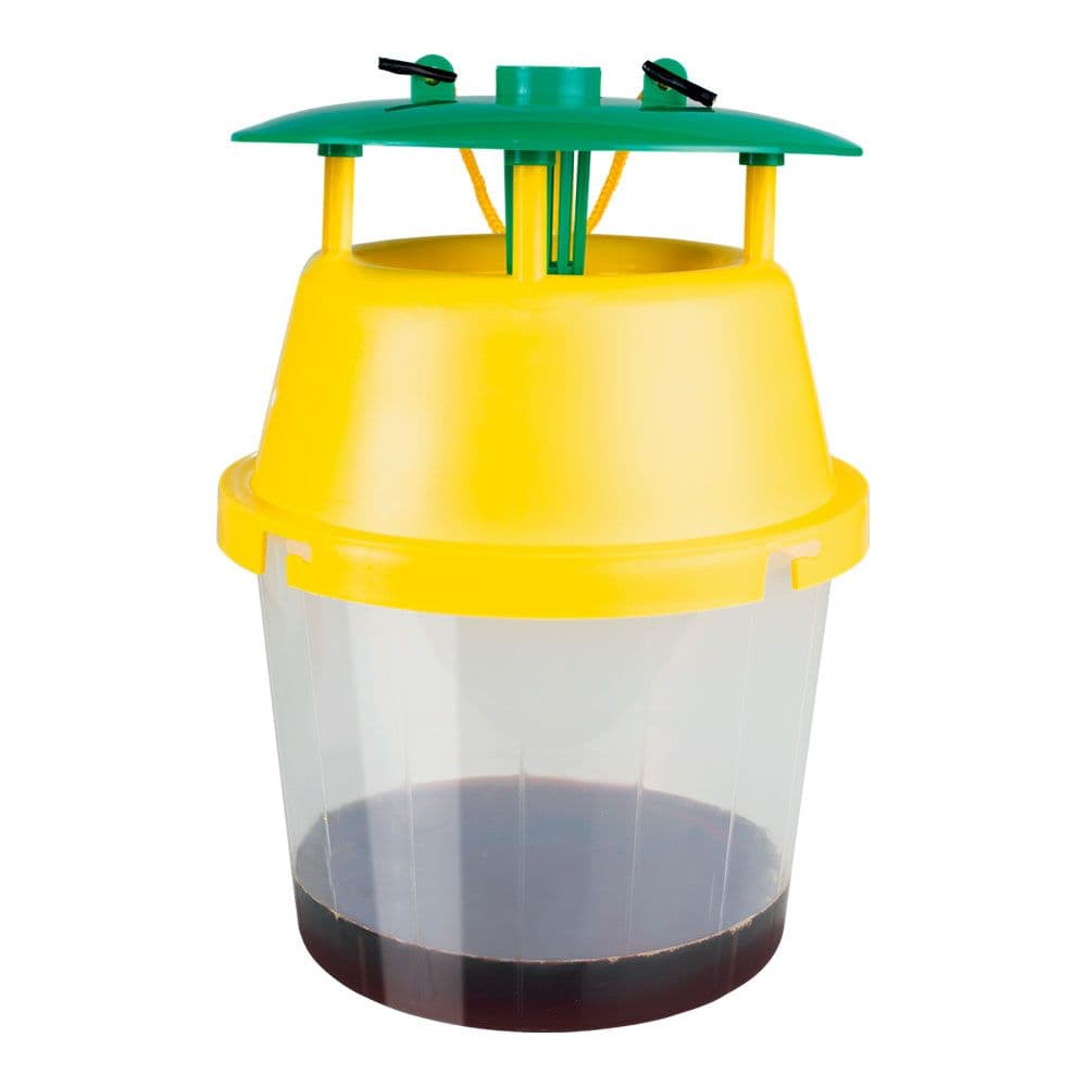 TRAMPA PARA LA AVISPA VELUTINA (ASIÁTICA)