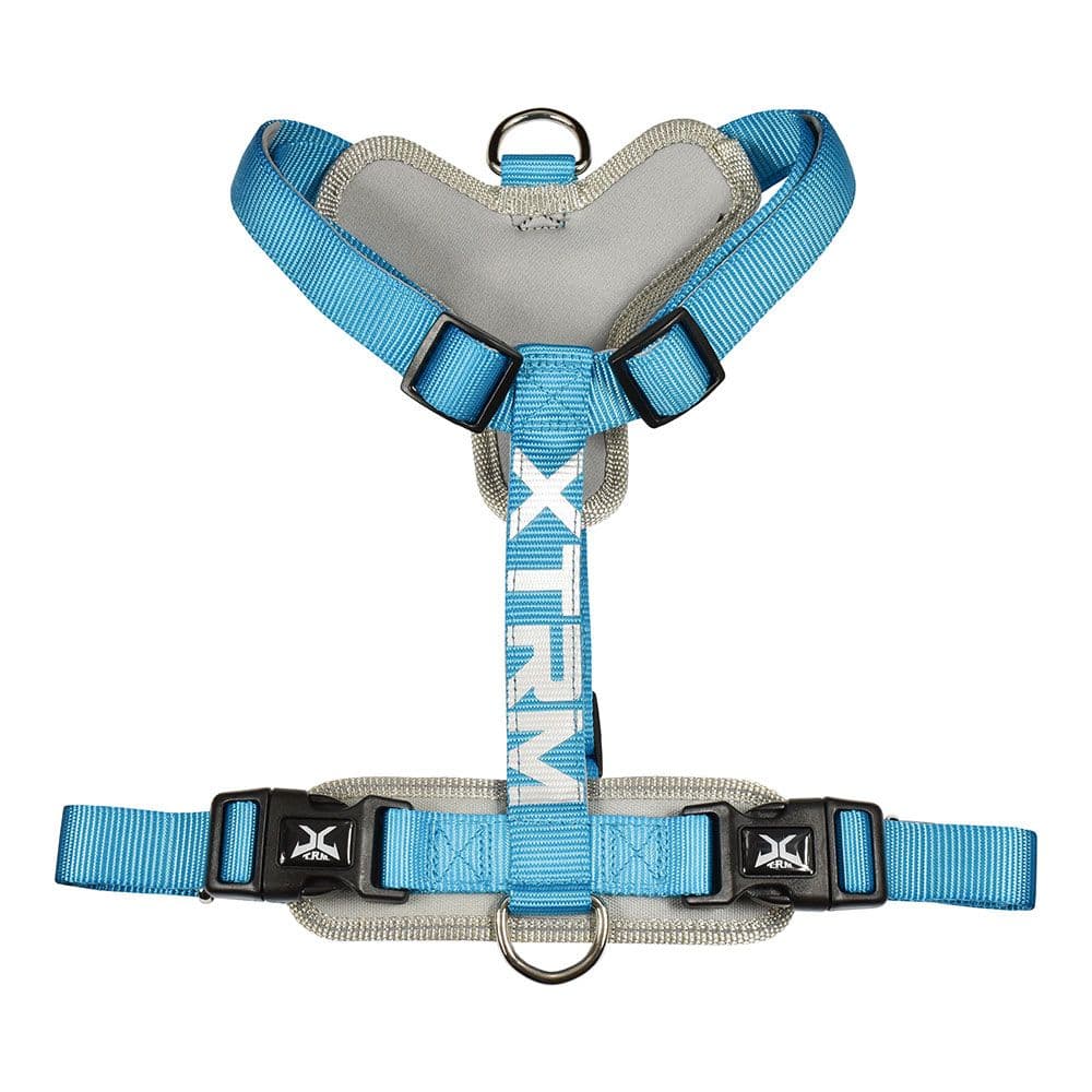 ARNÉS X-TRM CRONOS NEON FLASH AZUL, T-M 20 mm x 46-75 cm