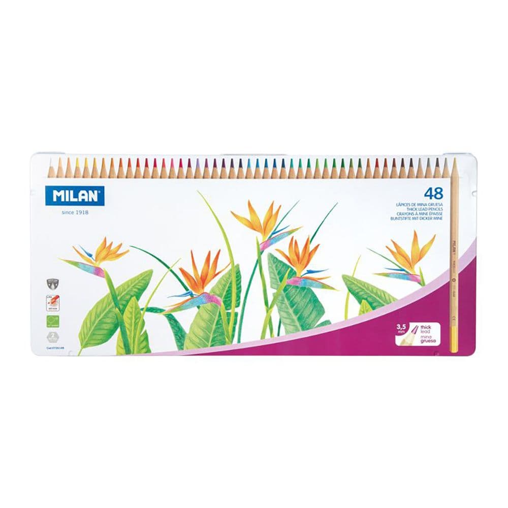 CAJA METÁLICA CON 48 LÁPICES DE COLORES MINA GRUESA Ø3,5 mm HEXAGONALES