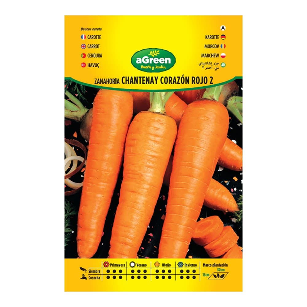 SOBRE CON SEMILLAS DE ZANAHORIA CHANTENAY CORAZÓN ROJO 2