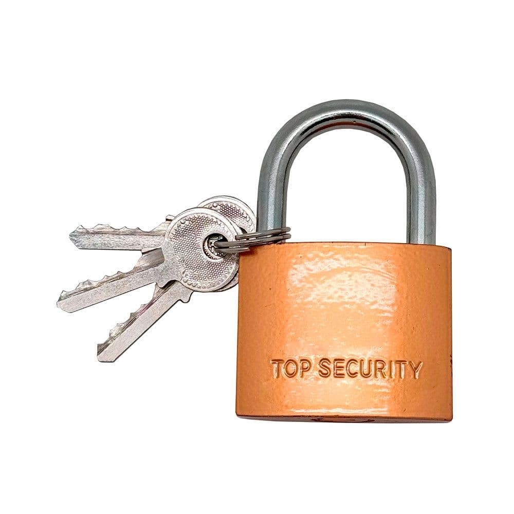 CANDADO DE ARCO NORMAL BASIC CN17, LATÓN, 50 mm