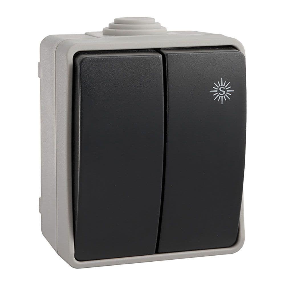 DOBLE CONMUTADOR ESTANCO 10 AX 250 V~. IP54